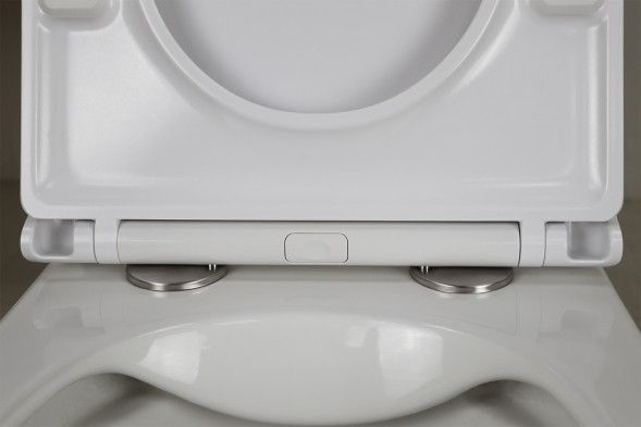 Унитаз подвесной Azario PRO 490х345х355 безободковый, в комплекте с быстросъемным сидением микролифт (PRO-002)