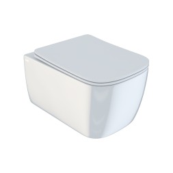 Унитаз подвесной безободковый IDDIS BRIRDSEi25 "Bridge" сиденье дюропласт, микролифт - BRIRDSEi25