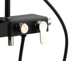 Душевая система AZARIO с поворотным изливом, керамический картридж, черный/золото (AZ-801-2)