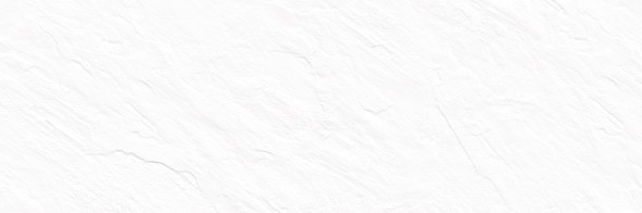 Плитка настенная 246x740 Leon White - WT15LEN00R