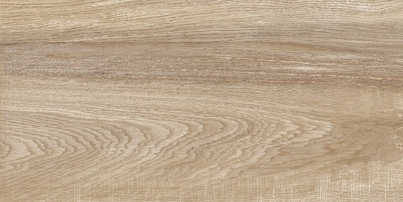 Плитка настенная 249x500 Euphoria - TWU2550EPH40