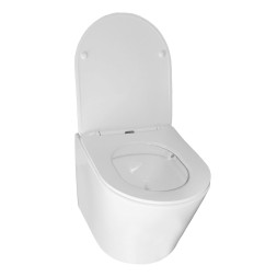 Унитаз подвесной Azario Teramo 480х365х360 безободковый, в комплекте с сидением микролифт, белый (AZ-0053 SP)