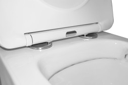 Унитаз подвесной Azario Teramo 480х365х360 безободковый, в комплекте с сидением микролифт, белый (AZ-0053 SP)