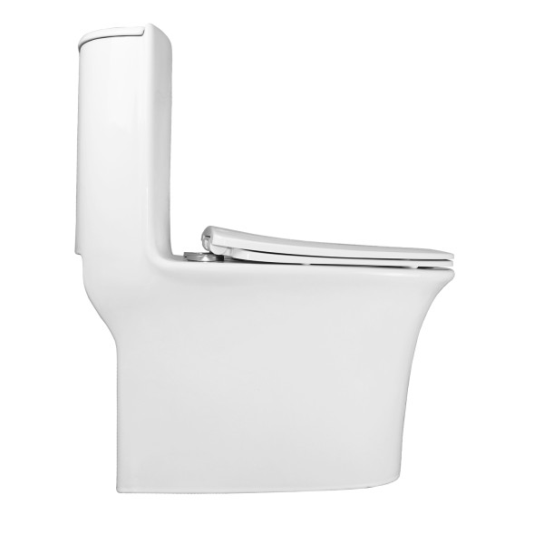 Унитаз моноблок Azario Luna 770x390x710 напольный, горизонтальный слив, сиденье дюропласт микролифт (AZ-1037)