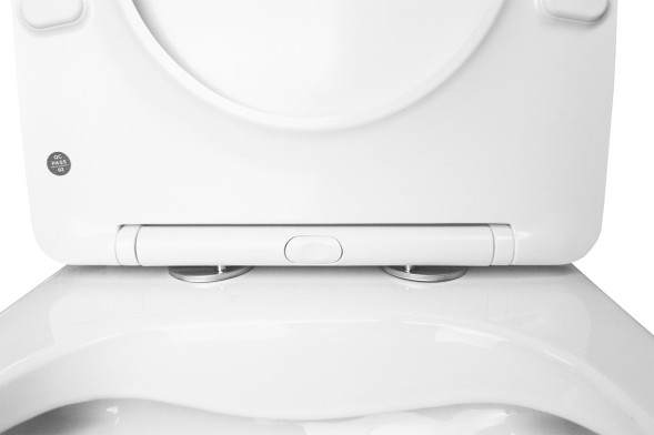 Унитаз-моноблок AZARIO Terni 670x350x760 горизонтальный слив, быстросъемное сиденье микролифт (AZ-8618)