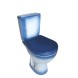 Унитаз-компакт &amp;quot;Соло&amp;quot; синий (гориз, нижн, сид. полип., 2-кн.арм.) (Rosa) - 4640021065792 