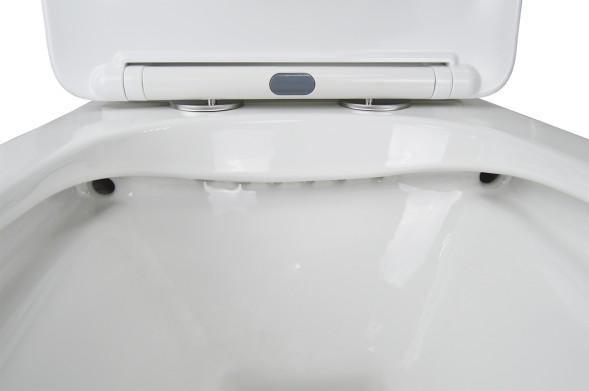 Унитаз-компакт Azario LEVANTO 620x380x830 напольный, безободковый в комплекте с бачком и сиденьем микролифт (AZ-1228A)