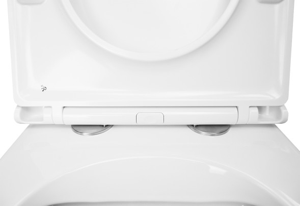 Унитаз приставной Azario Teramo 580х360х430 безободковый, быстросъемное сиденье с микролифтом (AZ-1003DNR)