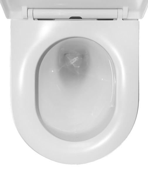 Унитаз подвесной Azario ORMI 490х360х365 безободковый, система смыва Торнадо, с быстросъемным сиденьем микролифт (AZ-0253VD)