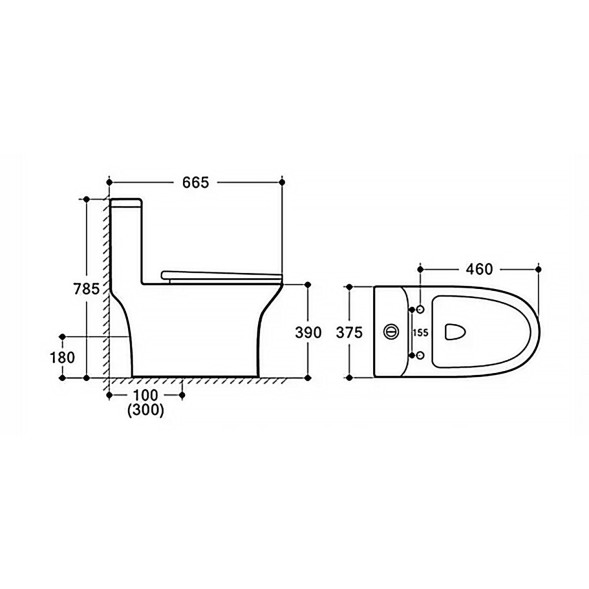 Унитаз-моноблок с функцией биде AZARIO Sente 375х665х785 напольный, безободковый, горизонтальный слив, сиденье дюропласт микролифт (AZ-8614B)